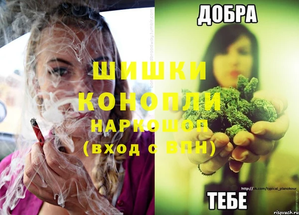 винт Арсеньев