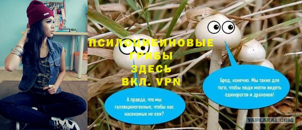 винт Арсеньев