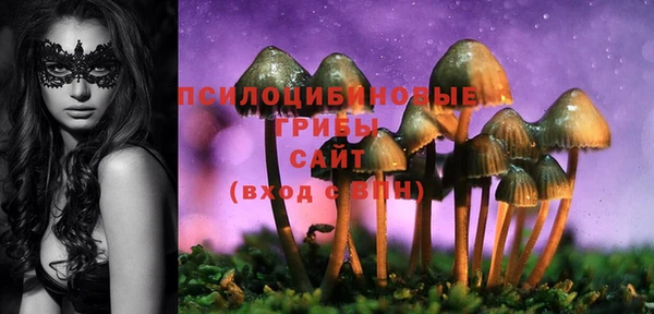 винт Арсеньев