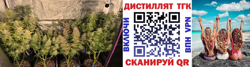 ТГК Wax Нижнеудинск