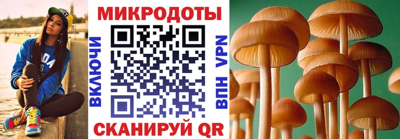 где продают наркотики площадка какой сайт ссылка на мегу ТОР Псилоцибиновые грибы мухоморы Нижнеудинск